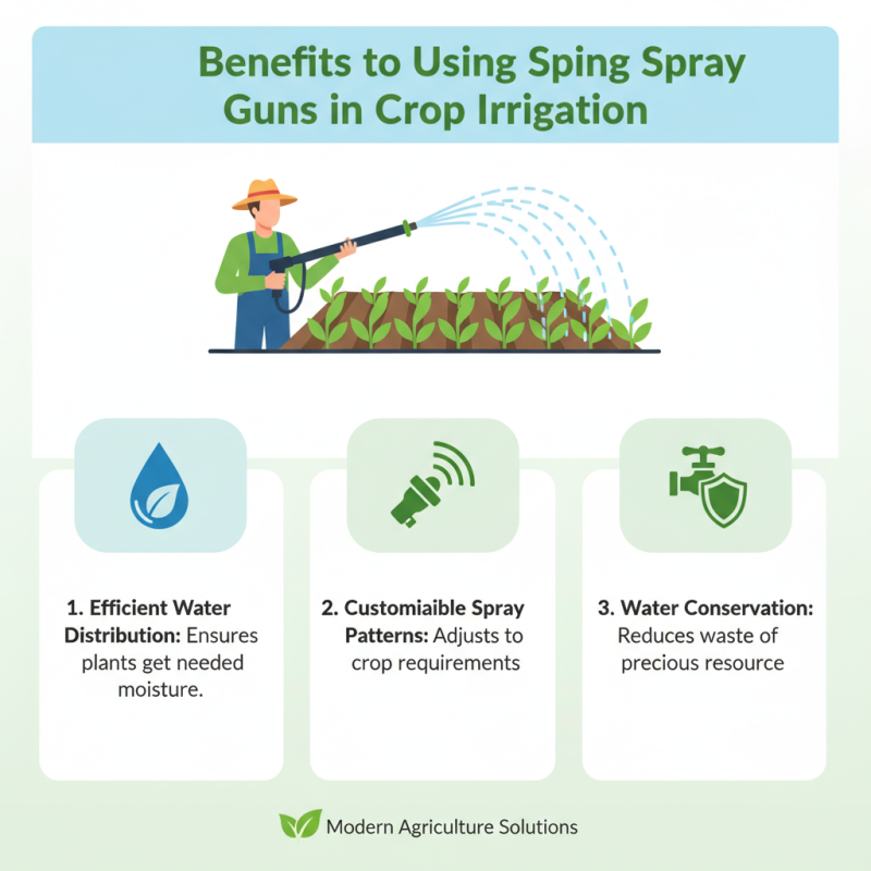 China Best Agricultural Water Spray Gun for Efficient Irrigation?