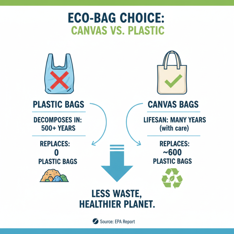 Top 10 Benefits of Using Canvas Bags in Everyday Life?