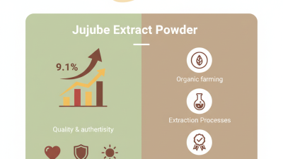 Top 10 Jujube Extract Powder Manufacturers to Consider?
