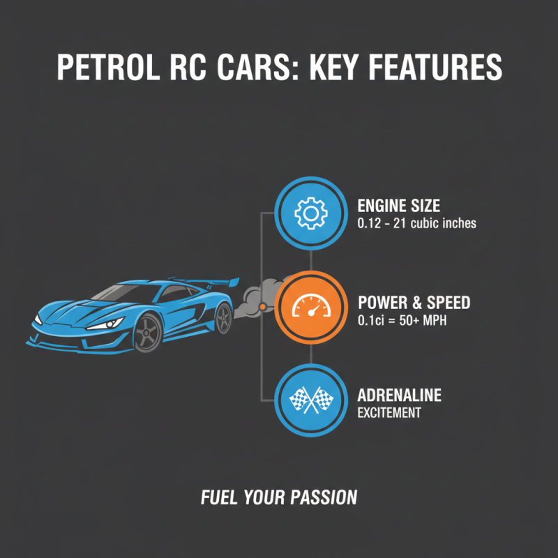 China Best Petrol Remote Control Cars for Global Buyers?