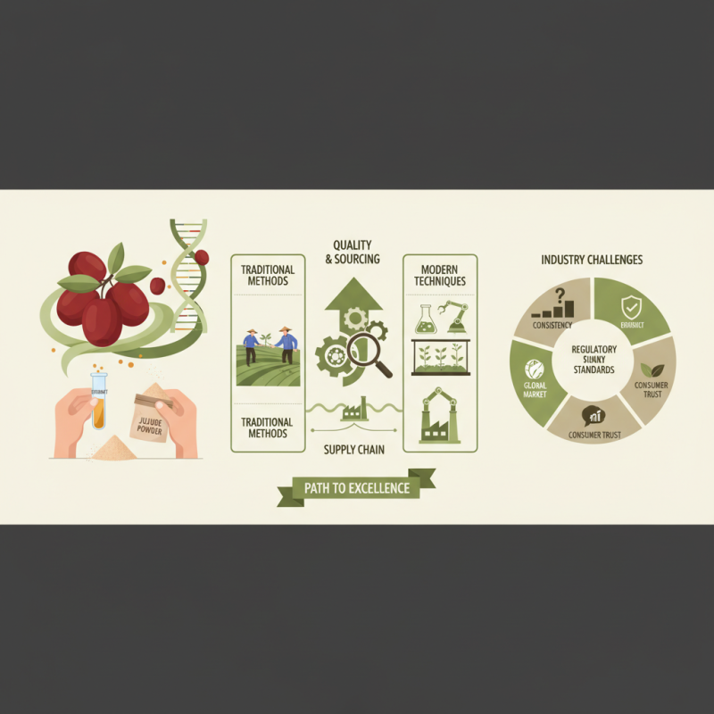 Top 10 Jujube Extract Powder Manufacturers in China?