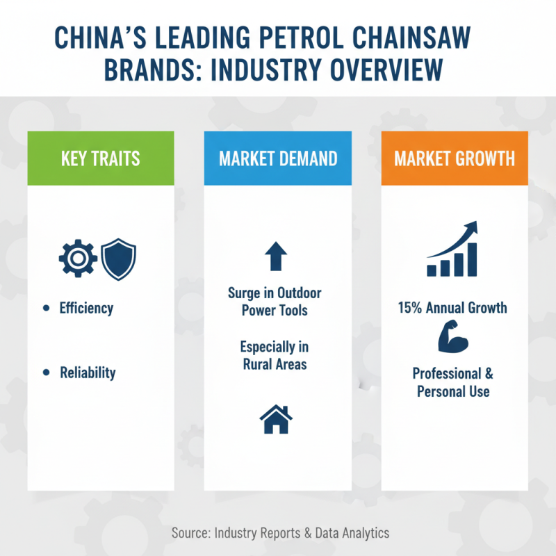 China Top Petrol Chain Saw Brands for Efficient Outdoor Power Tools?