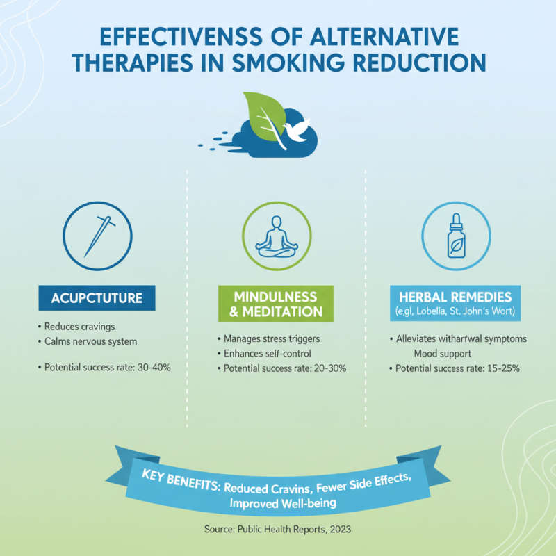 China Top Painless Smoking Cessation Solutions for Global Buyers?