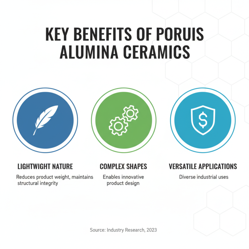 Why Choose Porous Alumina Ceramics for Your Applications?