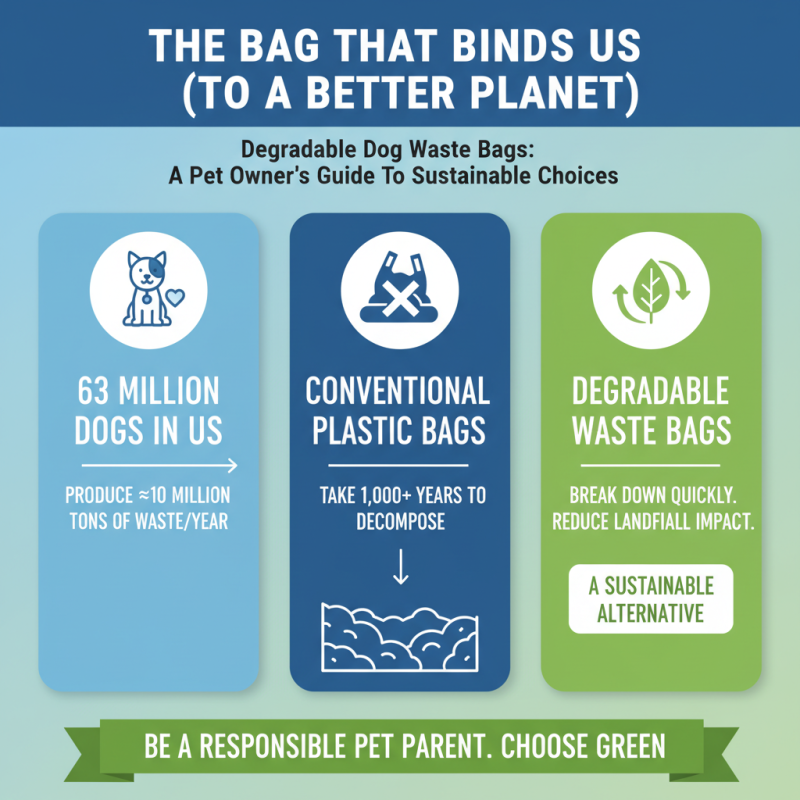 How to Choose the Best Degradable Dog Waste Bags for Your Pet?