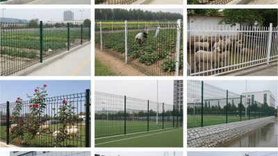 Top 10 Uses of PVC Coated Welded Mesh in China Today?