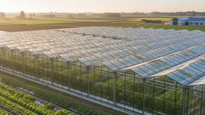 Why Choose Agricultural Greenhouse Solutions for Your Business?