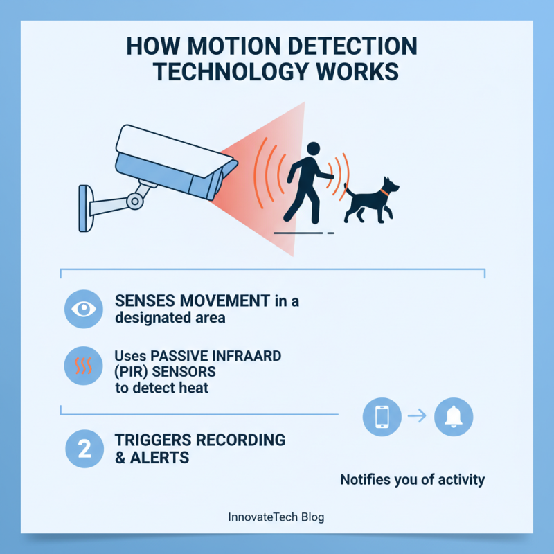 What is a Motion Detection Camera and How Does It Work?