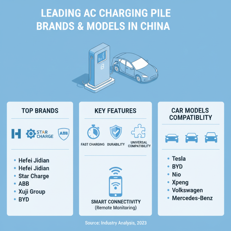 China Best AC Charging Pile Options for Electric Vehicle Owners?