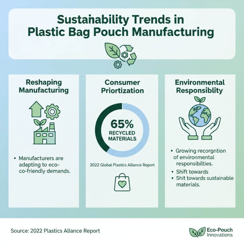 2026 Best Plastic Bag Pouch Options for Global Buyers?