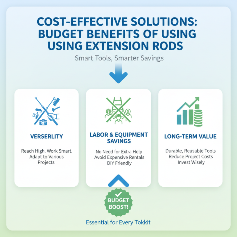 Top Benefits of Using Extension Rods for Your Projects and Tasks?