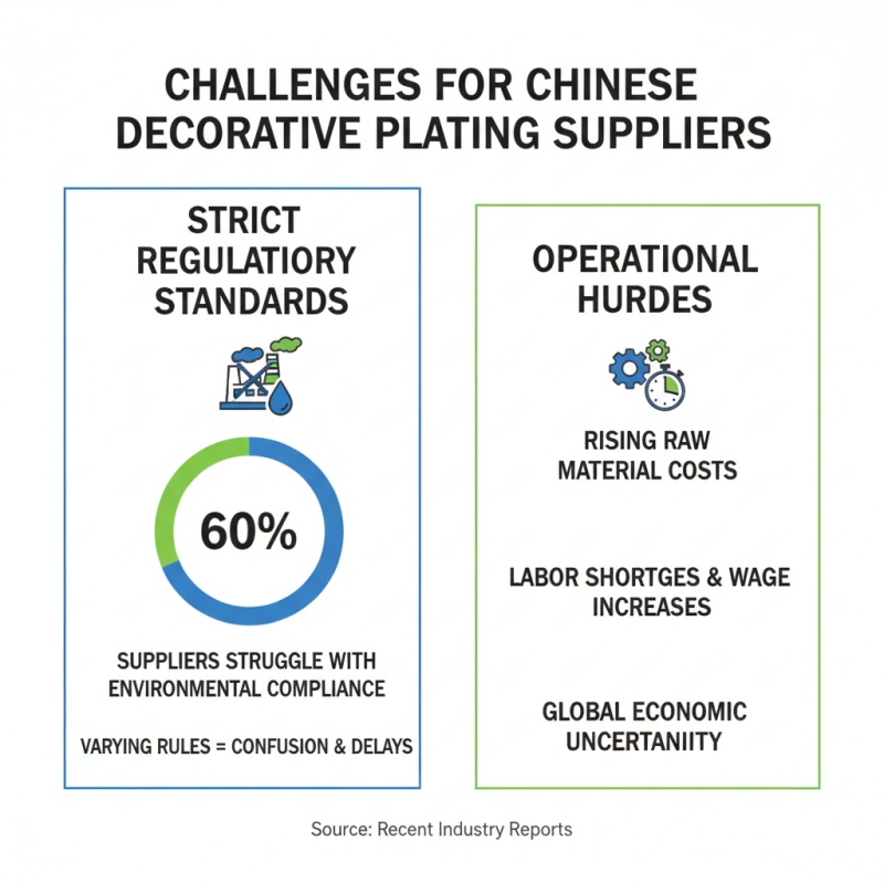 China Top Decorative Plating Suppliers What to Know?
