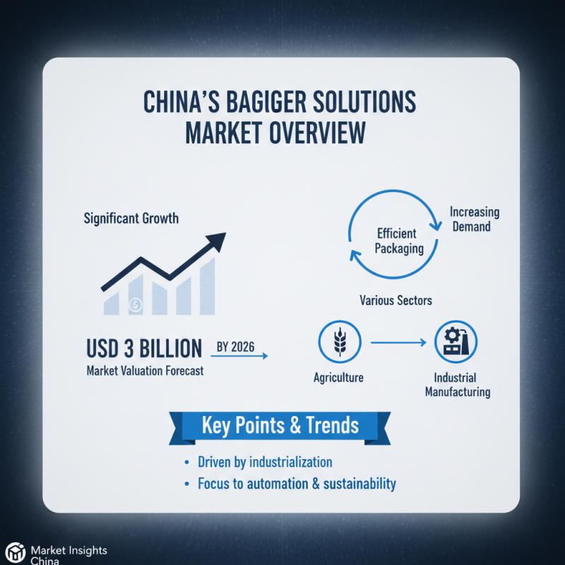 Top Bagging Solutions in China for Global Buyers?