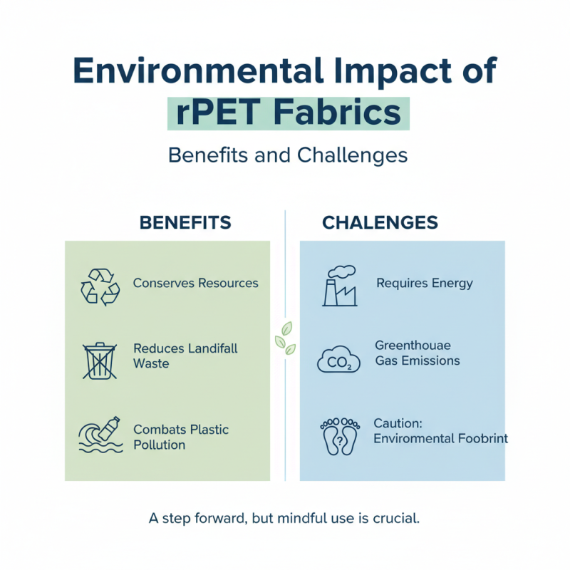 Exploring 2026 Top Trends in Rpet Fabric Innovations?