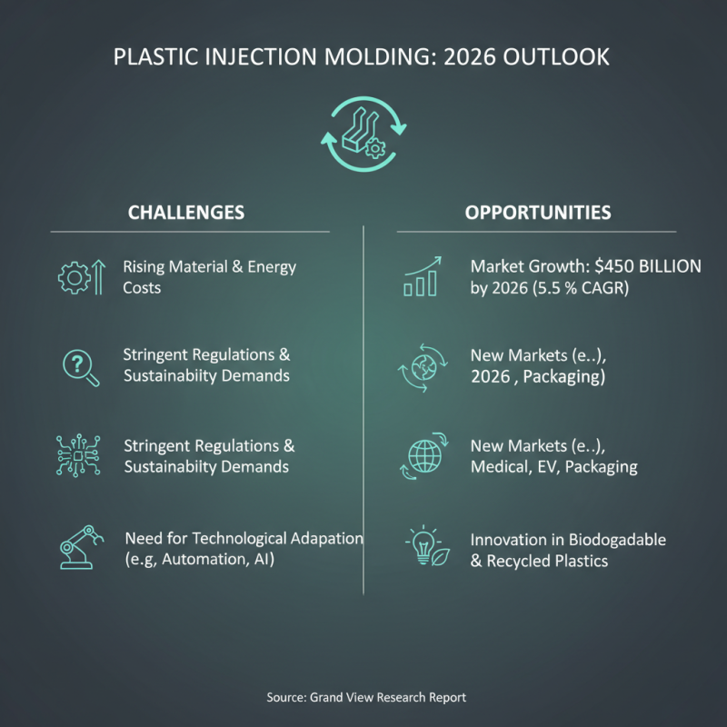 Top Plastic Injection Molding Companies in USA for 2026?