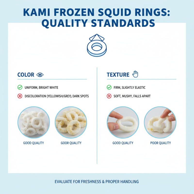 How to Buy Kami Frozen Squid Ring for Global Sourcing?