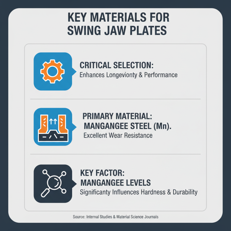 2026 Best Swing Jaw Plates for Jaw Crusher Buying Guide?