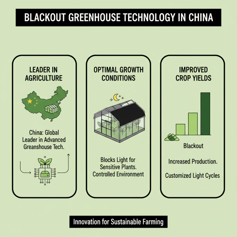 China Top Blackout Greenhouse Solutions for Global Buyers?