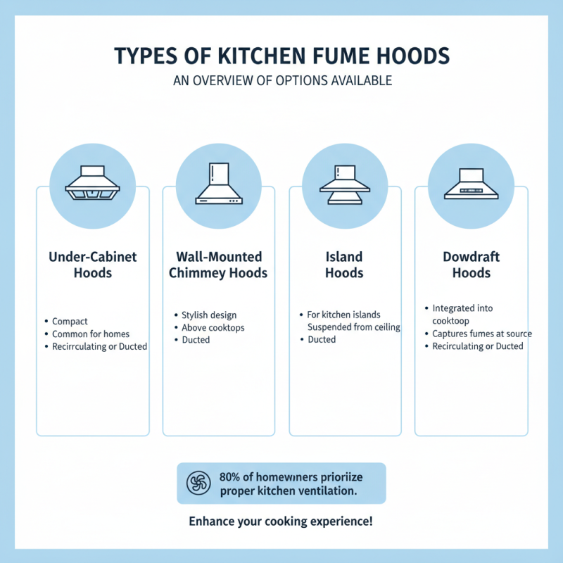 Top Kitchen Fume Hood Options for a Cleaner Cooking Environment?