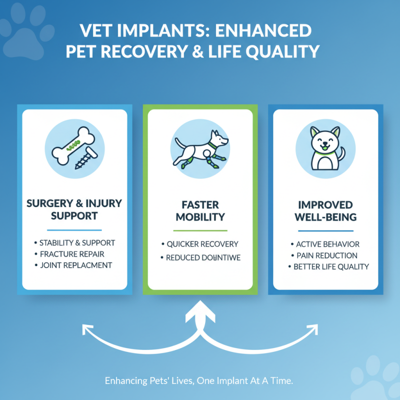 Why Choose Vet Implants for Your Pet's Health Needs?