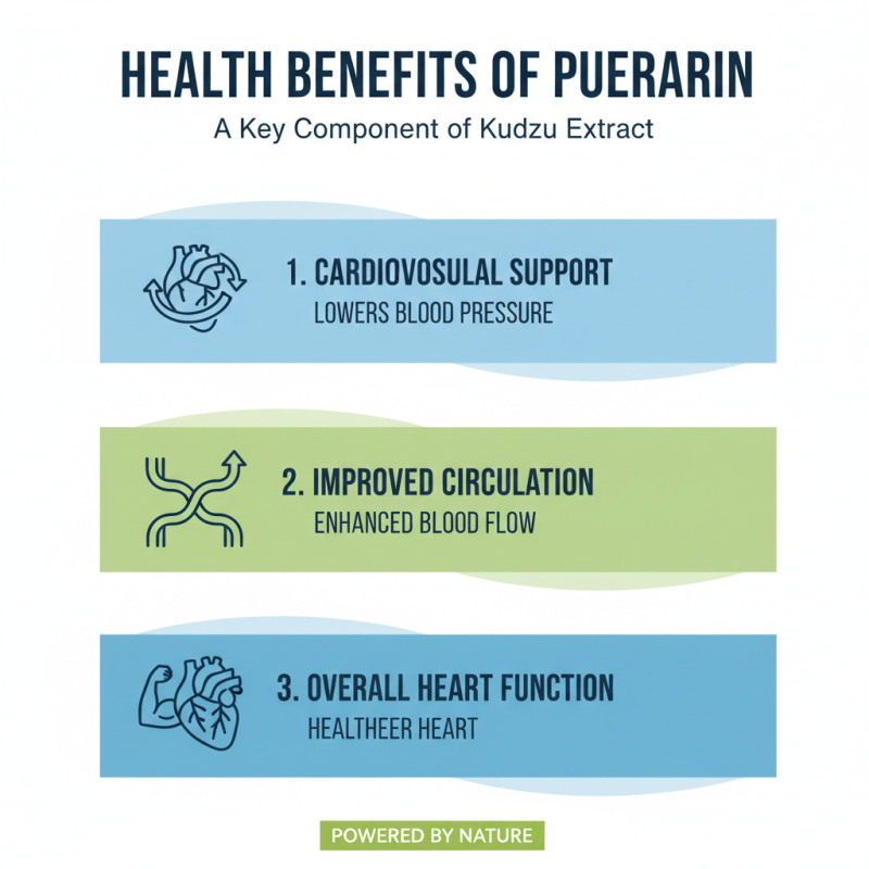 2026 Top Benefits of Pueraria Lobata Extract Puerarin for Buyers?