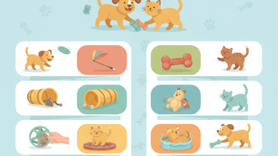 Top 10 Pet Toys for Your Furry Friends to Enjoy