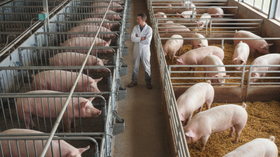Sow Gestation Crate Benefits for Global Buyers Explained