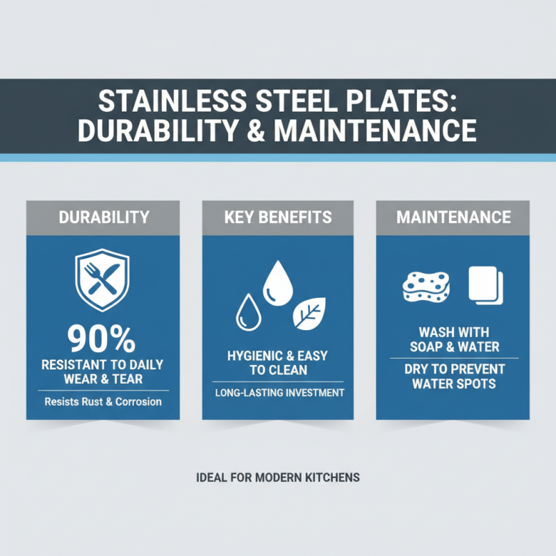 2026 Top Stainless Steel Plates for Modern Kitchen Design?