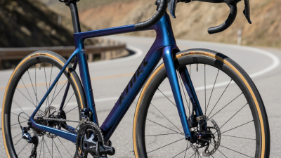 Top Custom Racing Bike Options for Serious Cyclists?