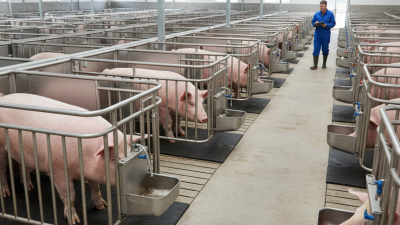 10 Essential Tips for Choosing the Right Sow Gestation Crate?