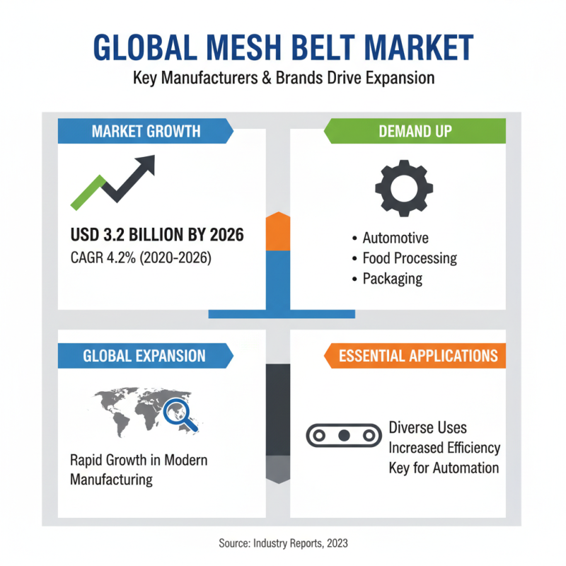 2026 Best Mesh Belt Options for Global Buyers?