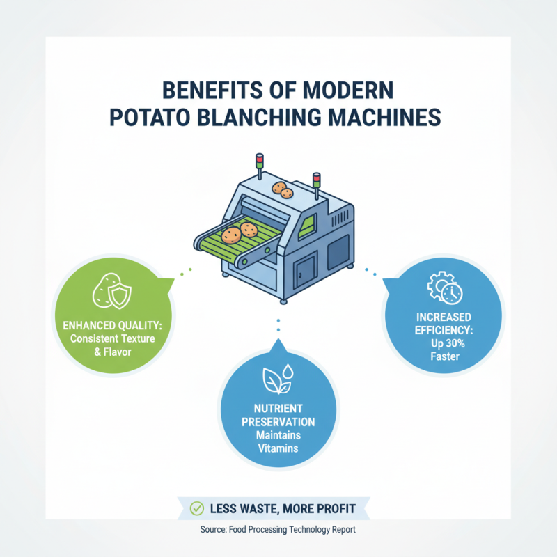 China Top Potato Blanching Machine Insights and Innovations?