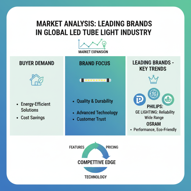 Top 10 Led Tube Light Options for Global Buyers?