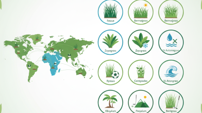 Top 10 Turf Grass Types for Your Global Sourcing Needs?