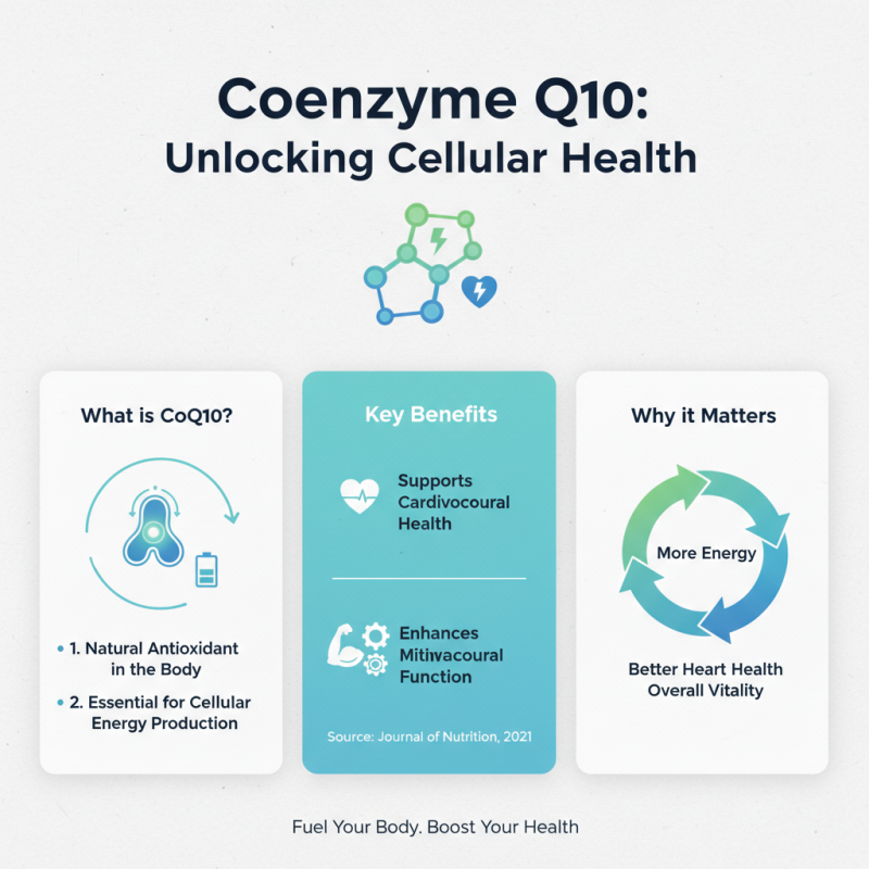 2026 Best Coenzyme Q10 Supplements for Global Buyers?