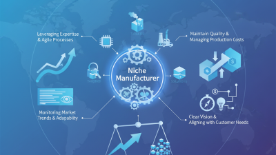 What is a Global OEM Organizational Niche Manufacturer?