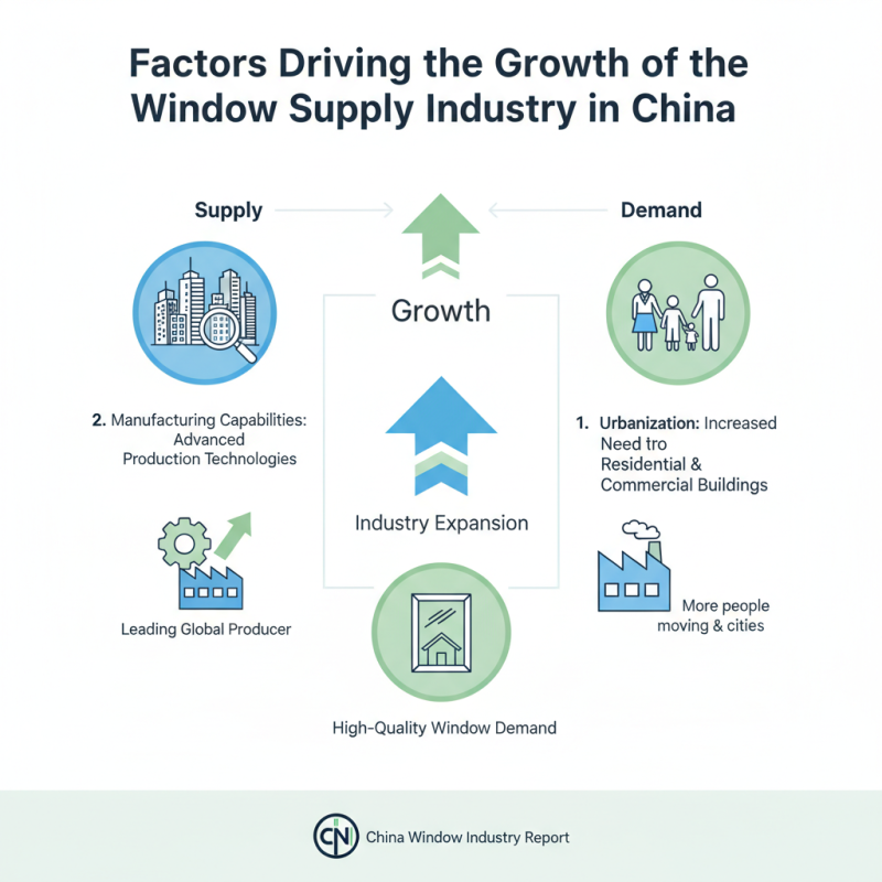 Top External Windows Suppliers in China What You Need to Know?