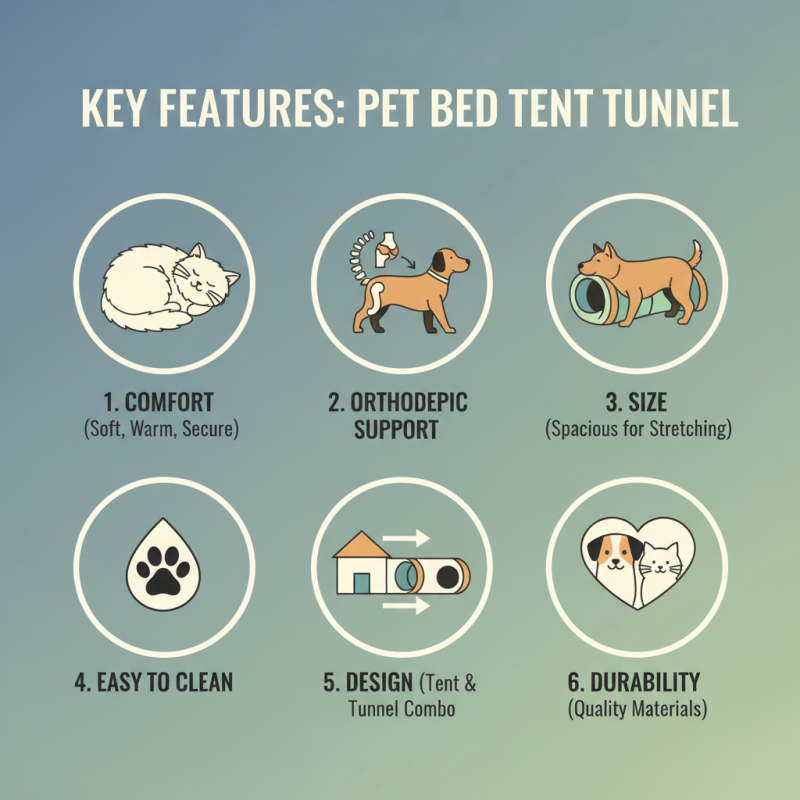 2026 How to Choose the Best Pet Bed Tent Tunnel for Your Pets?