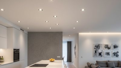 Top 10 DOWN LIGHTS in China for Global Buyers Guide?
