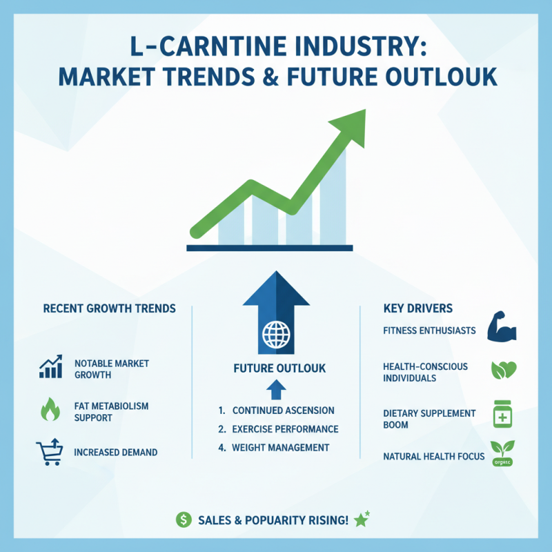 What is Bulk L Carnitine Powder and Who are the Leading Manufacturers?