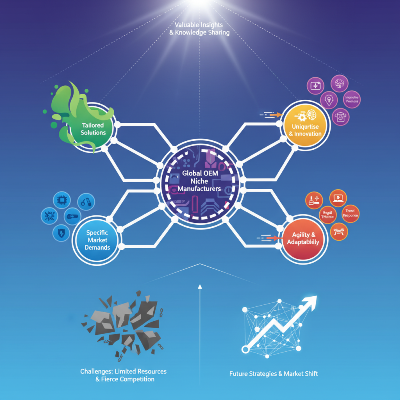2026 Top Global OEM Organizational Niche Manufacturers Insights?