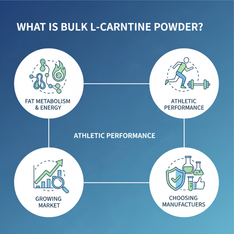 What is Bulk L Carnitine Powder and Who are the Leading Manufacturers?