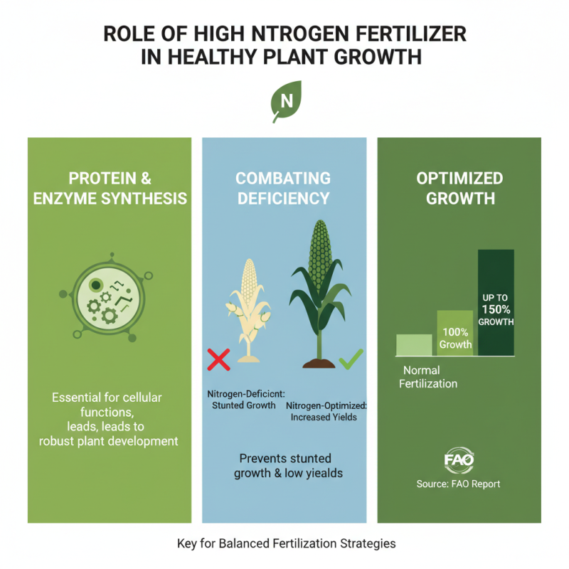 Top 10 Benefits of High Nitrogen Fertilizer for Crops?