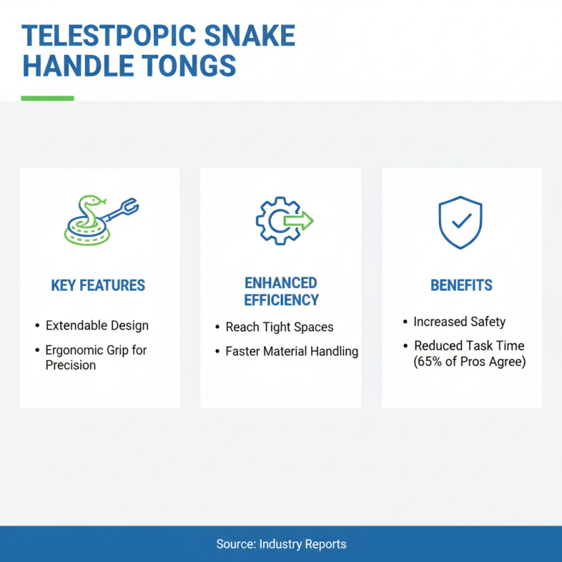 What is Telescopic Snake Handle Tongs and How to Use Them?