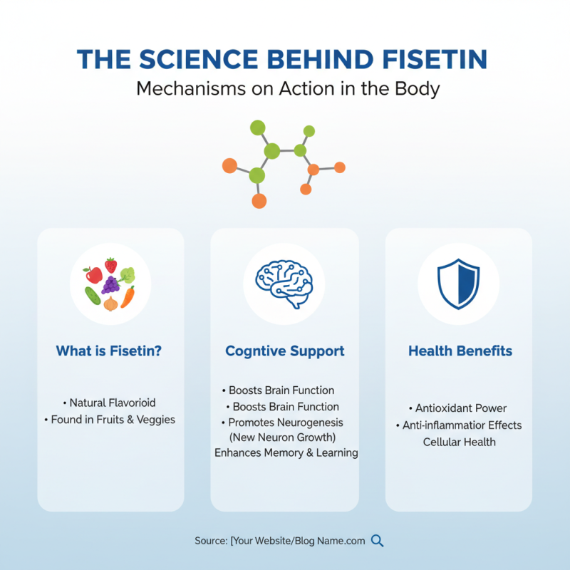 How to Use Fisetin Extract Powder for Health Benefits and Wellness?