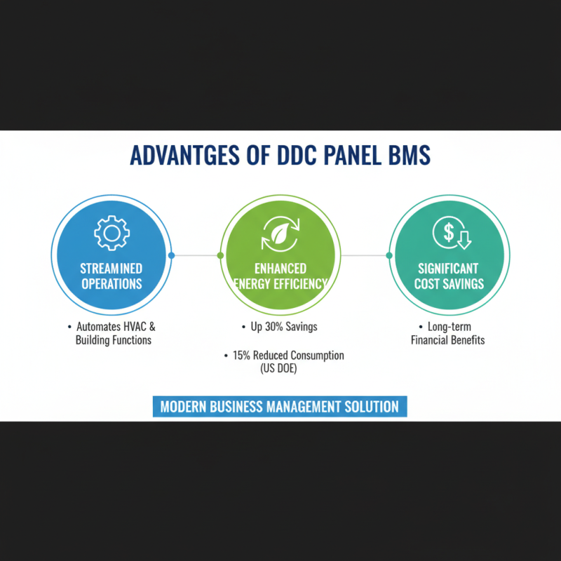 What is a Ddc Panel Bms and How Does It Benefit Your Business?