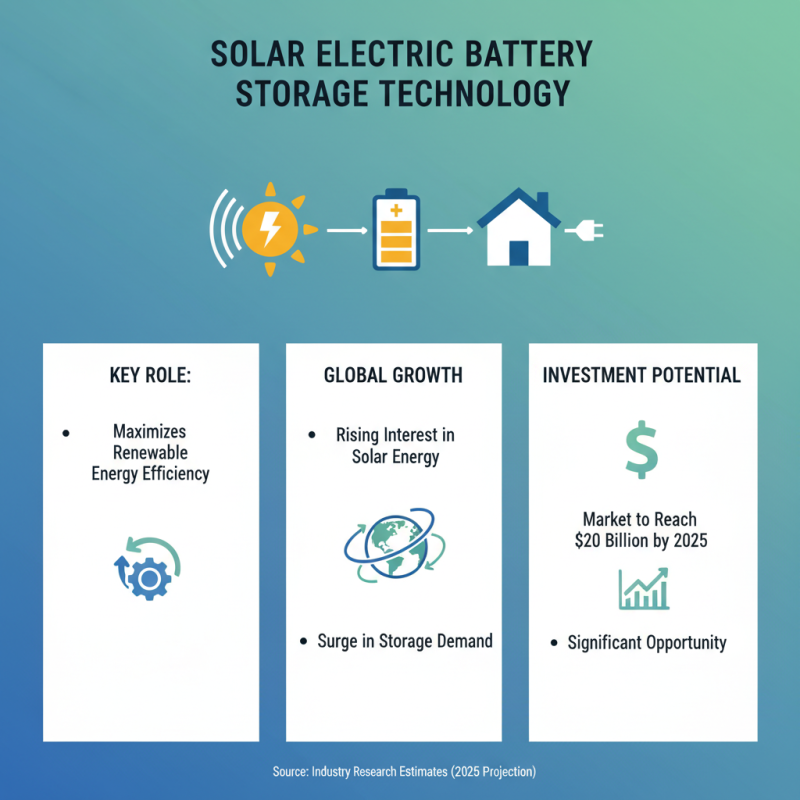 Top 10 Solar Electric Battery Storage Options for Global Buyers?