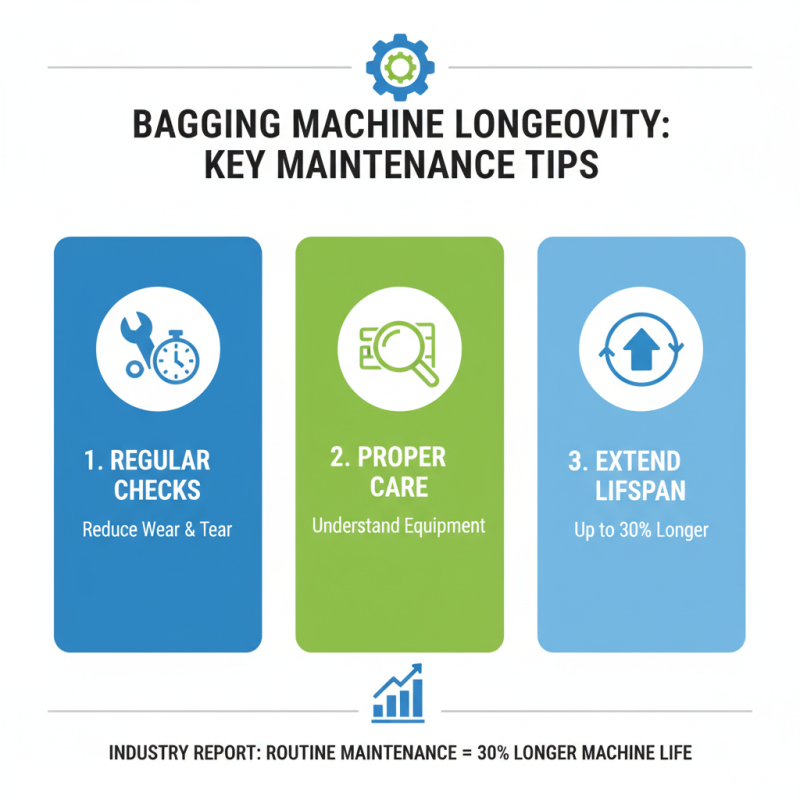 Top Food Bagging Machines for Global Buyers to Consider?