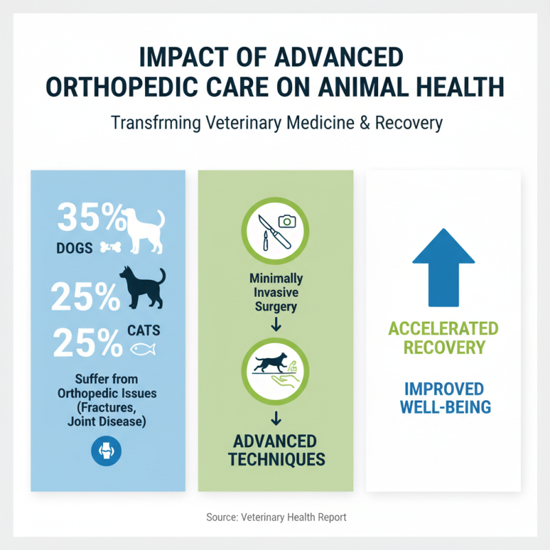 Top 10 Orthopedic Veterinarians in China You Should Know About?