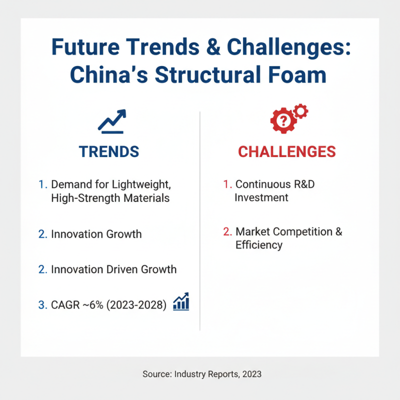 China Top Structural Foam Suppliers and Their Competitive Advantages?